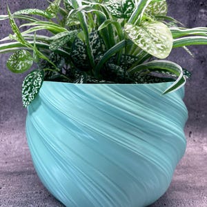 May include: A teal-colored, spiral-textured planter pot filled with a green plant. The plant has green leaves with white spots and stripes. The pot has a rounded shape and sits on a gray surface.