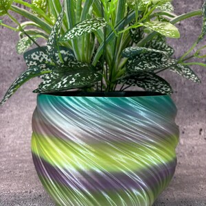 May include: A green, purple, and yellow swirl planter with a green plant inside. The planter has a unique, wavy design.