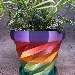 Puede incluir: Una planta de interior en una maceta geométrica de colores del arcoíris. La maceta hace la transición del rojo al naranja, amarillo, verde y azul. La planta tiene hojas verdes y blancas moteadas. La maceta está sobre un platillo verde.