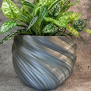 Pode incluir: Uma planta de interior num vaso cinzento com um design em espiral. A planta tem folhas verdes com manchas brancas e folhas verdes longas e finas. O vaso tem uma superfície texturizada e canelada, sobre um fundo cinzento.