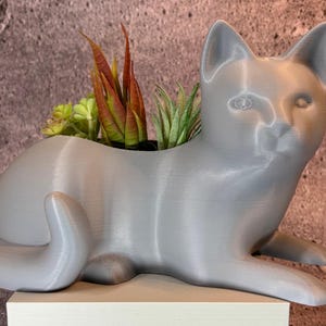 May include: A gray ceramic cat planter with a succulent plant inside. The cat planter has a realistic design and is perfect for adding a touch of whimsy to your home decor.