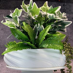 Unieke plantenbak-ovale vensterbank voor allerlei soorten planten met blad (witte kleur) - 14" lang x 4" breed x 4" hoog; VS Store