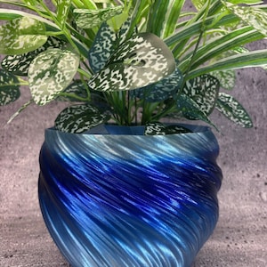 May include: A blue and silver-toned decorative plant pot with a swirling design, holding a green plant with white speckled leaves. The pot has a gradient effect, transitioning from silver to deep blue.