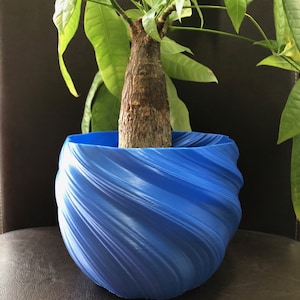 May include: A blue, swirl-patterned ceramic planter with a green leafy plant growing inside.