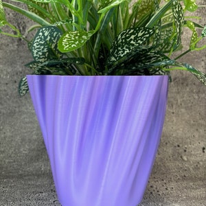 May include: A purple, swirl-patterned plastic planter with a green leafy plant inside.