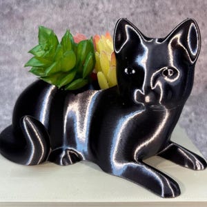 Puede incluir: Un macetero negro con forma de gato con una planta suculenta en su interior. El macetero está hecho de un material liso y brillante y tiene un diseño de gato realista.