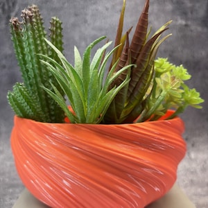 Small Shallow Twisted Planter for Succulents or Cati (Coral color)-6"Diameter by 3"Tall; Modern Planter; USA Store