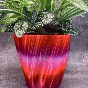 May include: A vibrant, gradient-colored plant pot in shades of red, pink, and purple, holding a lush green plant with speckled leaves. The pot has a textured, vertical stripe design, adding visual interest to the container.