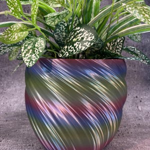 May include: A decorative plant pot with a swirling design in shades of green, blue, and red. The pot holds a vibrant plant with green leaves speckled with white. The pot's unique design adds a modern touch to any home decor.