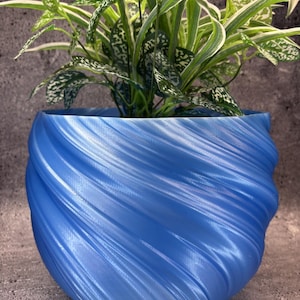 Puede incluir: Una maceta de color azul brillante con una textura acanalada y en espiral en su superficie exterior. La maceta contiene una planta verde con follaje jaspeado en blanco y verde, con hojas puntiagudas que se extienden hacia arriba.