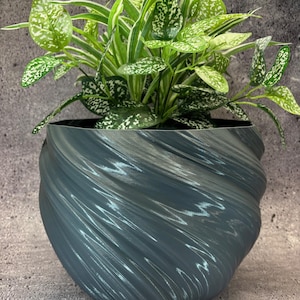 May include: A gray, swirl-patterned ceramic planter with a green leafy plant inside. The plant has white speckles on the leaves.