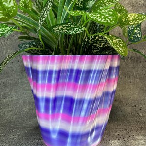 May include: A purple and pink striped planter with a green plant inside. The planter has a wavy, swirled design.
