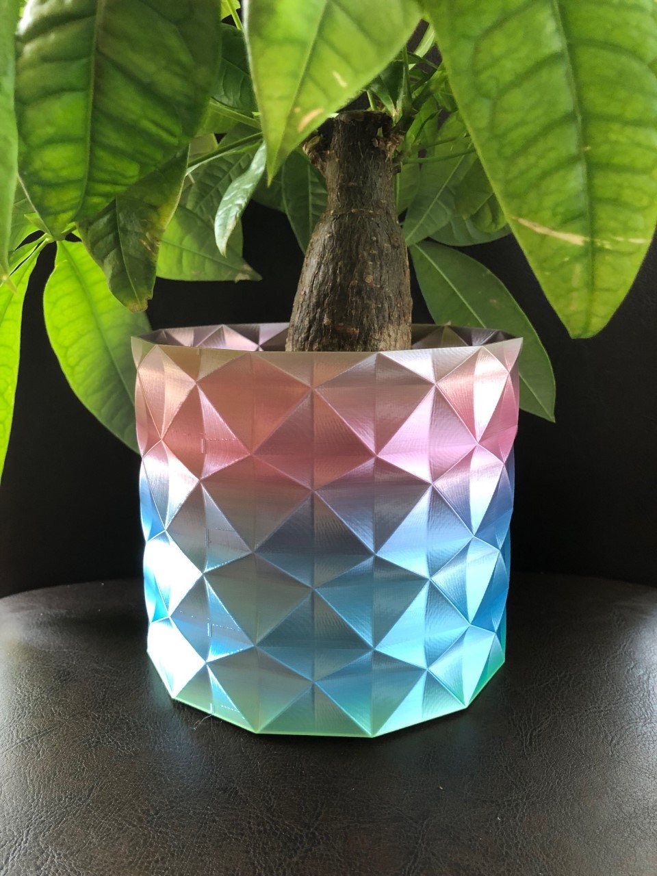 5.875 Diameter by 4.25 Tall Medium Flower Pot for Plants of all kinds 5.875 Diameter by 4.25 Tall Medium Flower Pot for Plants of all kinds