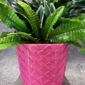 Unique Planter-Medium Flowerpot for Plants of all kinds (Pink color) - 6&quot; Diameter by 4.5&quot; Tall; Colorful Planter Unique; Planter; USA Store