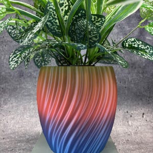 May include: A houseplant with green and white patterned leaves in a decorative pot. The pot has a gradient design, transitioning from orange to red to blue, with a spiral pattern. The pot sits on a light green surface.