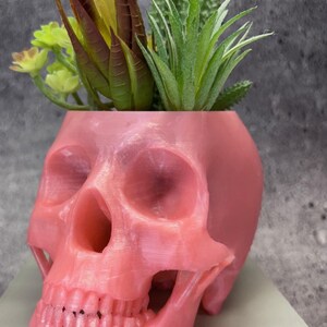 May include: A pink skull planter with a variety of green and brown succulents growing inside.