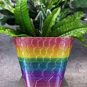 May include: A plant pot with a rainbow gradient and a honeycomb design. The pot contains a selection of green plants. The colours of the pot transition from red at the top to purple at the bottom.