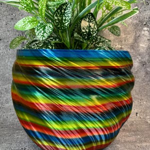 May include: A vibrant, multi-colored planter with a swirling design, holding a lush green plant with white-speckled leaves. The planter's colors include blue, green, yellow, and red, creating a rainbow effect. A decorative item for home decor.