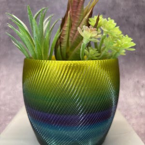 Pode incluir: Um pequeno vaso verde, azul e roxo com um padrão de espiral. O vaso está cheio de três tipos diferentes de suculentas verdes.