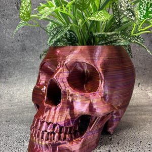 Extra Extra Large Skull pot for Succulents, Cactus or any Plant (Red Metallic Multi color) - 7.5"wide x 12"deep x 7"tall