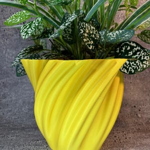 Puede incluir: Una maceta amarilla en forma de espiral con una planta verde con motas blancas que crece en su interior.
