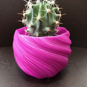 May include: A small green cactus with white spines is planted in a bright pink, swirl-shaped planter.