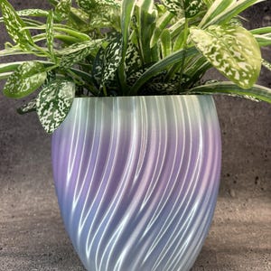 May include: A rounded plant pot with a vertical spiral ribbed texture, featuring a gradient color transition from light blue at the base to a soft purple in the middle and white at the top, containing a leafy plant with green and white variegated foliage.