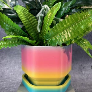 Unique Planter-Pot for Succulents, Cactus or any Plant with built in drainage tray (Multi color) - 6"x5" - Medium, USA Store