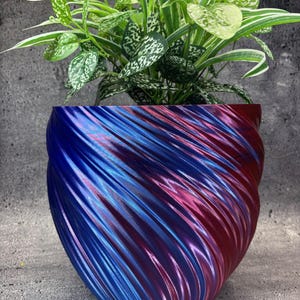 Op de afbeelding: Een decoratieve plantenpot met een wervelend ontwerp in blauw- en roodtinten. De pot bevat een groene plant met wit gespikkelde bladeren. Het ontwerp van de pot creëert een visueel aantrekkelijk contrast met de natuurlijke kleuren van de plant.