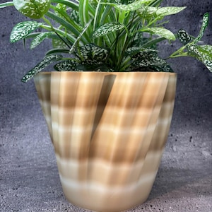 May include: A decorative plant in a beige and white striped pot. The plant has green leaves with white spots and long green and white striped leaves. The pot has a unique, swirling design. The pot is approximately 6 inches tall.