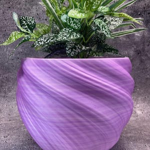 May include: A purple swirl planter with a green plant with white speckles growing inside.