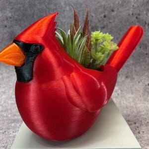 Puede incluir: Un macetero rojo en forma de cardenal con una pequeña planta suculenta en su interior. El macetero está hecho de un material liso y brillante y tiene un diseño de pájaro realista.