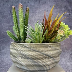 May include: A gray ceramic planter with a wavy, textured surface. The planter is filled with a variety of green and brown succulents.