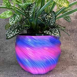Puede incluir: Una maceta de espiral rosa y azul con una planta verde con motas blancas en su interior.