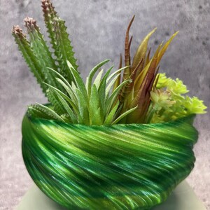 Small Shallow Twisted Planter for Succulents or Cati (Assorted Green Rainbow color) -6"Diameter by 3"Tall; Modern Planter; USA Store