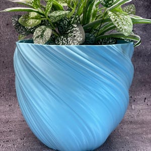 May include: A light blue, spiral-textured planter pot holding a variety of green plants with white and green speckled leaves. The pot has a unique, swirling design and is made of a smooth material.