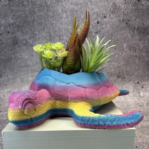 May include: A 3D-printed turtle-shaped planter featuring a gradient of blue, pink, and yellow horizontal stripes. The shell serves as a container holding several small green and brown succulent plants with varied leaf shapes and textures.