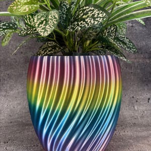 May include: A colorful, rainbow-hued planter pot with a vertical, ridged design. The pot holds a vibrant green plant with white-speckled leaves. The pot's colors transition from yellow to blue and purple.