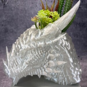 Könnte beinhalten: Ein weißer, 3D-gedruckter Drachenkopf-Pflanztopf mit strukturierter Oberfläche. Der Pflanztopf ist mit einer Vielzahl kleiner, grüner und brauner Sukkulenten und Kakteen gefüllt. Der Drachenkopf hat scharfe Zähne und ein markantes Horn.