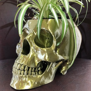 May include: A metallic gold skull-shaped planter with a detailed design, holding a green and white spider plant. The planter has a glossy finish and is placed on a brown surface. The skull's features are clearly defined.