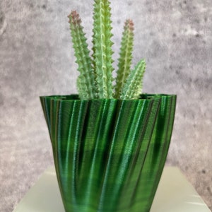 Op de afbeelding: Een groene, golvende, keramische pot met een vetplant erin. De plant heeft lange, dunne, groene stengels met kleine rode toppen.
