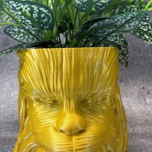 May include: A gold-coloured, 3D-printed planter shaped like a character's face, with detailed fur texture. The planter holds green plants with white-speckled leaves. A unique decorative item for home or office.