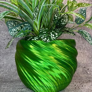 May include: A green swirl planter with a leafy green plant with white markings. The planter is made of a shiny, smooth material.