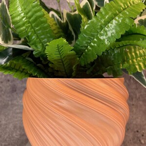 May include: A light peach-colored ceramic planter with a swirling, textured design. The planter is filled with green leafy plants.