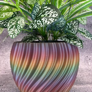 May include: A vibrant, rainbow-colored planter with a swirling, textured design. The pot holds a lush green plant with speckled leaves. The planter's colors transition from purple to orange and green, creating a visually appealing contrast with the plant's foliage.