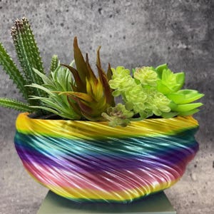 May include: A colorful, rainbow-hued planter with a swirling design, filled with a variety of succulents and cacti. The planter's vibrant colors transition from yellow to blue and purple. The plants include a tall, green cactus and various green and brown succulents.