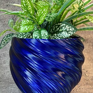 Könnte beinhalten: Ein blauer, spiralförmiger Keramiktopf mit einer grünen Pflanze mit weißen Flecken, die darin wächst.