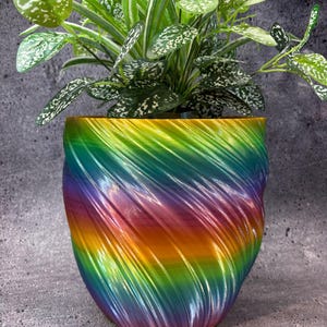 May include: A rainbow-hued plant pot with a spiral pattern, containing a green plant with white-spotted leaves. The pot's colours blend from purple to yellow. A decorative item for home decor. The pot is suitable for indoor or outdoor use.