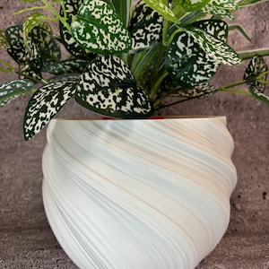 May include: A white, swirled ceramic planter holds a houseplant with green leaves speckled with white spots. The planter has a unique, textured design with a light blue hue. The plant's leaves are a vibrant green, creating a striking contrast with the planter.