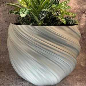 May include: A light grey, swirled planter pot containing a green plant with white speckled leaves. The pot has a unique, textured design and is filled with soil. The plant has long, slender leaves with white stripes.